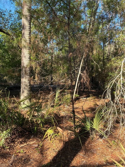 24533 PINK PANTHER Road, Paisley, FL, 32767 — photo 2