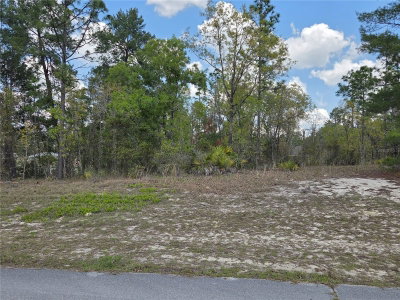 139TH PLACE Road, Ocala, FL, 34473 — photo 2