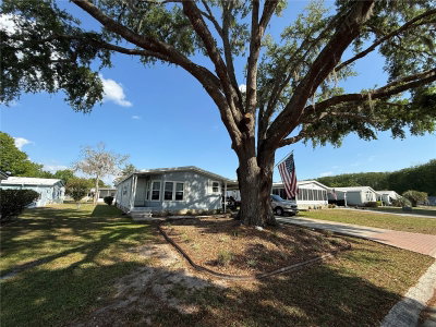 807 OAK Boulevard, Wildwood, FL, 34785 — photo 2