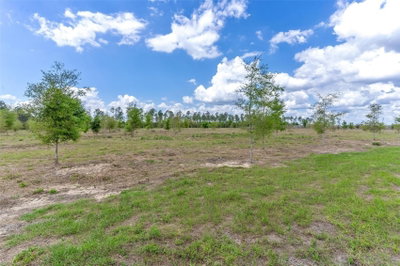 170TH Avenue, Weirsdale, FL, 32195 — photo 2