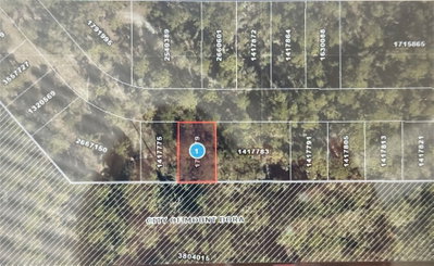 Lot 34 WOLF BRANCH RD, Mount Dora, FL, 32757 — photo 2
