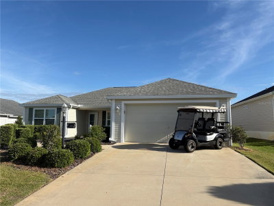 3135 BURNS Drive, The Villages, FL, 32163 — photo 2