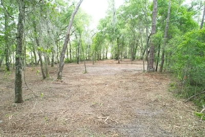 LOCUST RUN Course, Ocala, FL, 34472 — photo 2