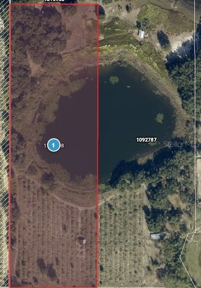 EARTH STAR Lane, Groveland, FL, 34736 — photo 2