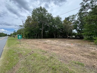 TBD BEACH Boulevard, Dunnellon, FL, 34431 — photo 2
