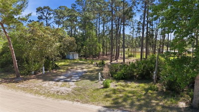 TBD HOLLY BRANCH Road, Eustis, FL, 32736 — photo 2