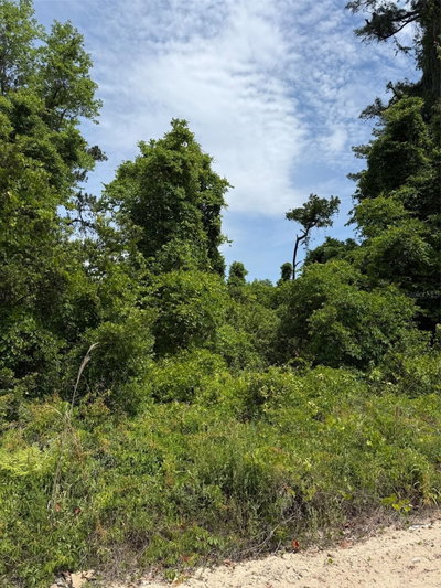 000 FOLKLORE DR, Satsuma, FL, 32189 — photo 2