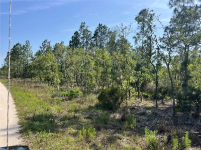 151ST Avenue, Williston, FL, 32696 — photo 2