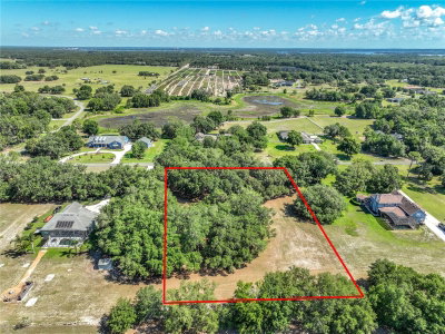TROTTING HORSE Lane, Tavares, FL, 32778 — photo 2