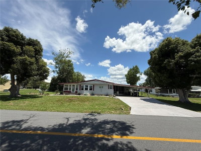 19 MAGNOLIA Lane, Wildwood, FL, 34785 — photo 2