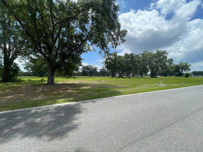 1020 DUCK BOX Road, Umatilla, FL, 32784 — photo 2