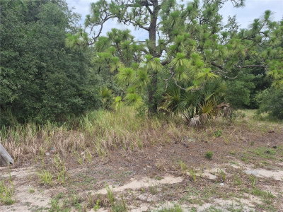 1626 US 301, Sumterville, FL, 33585 — photo 2