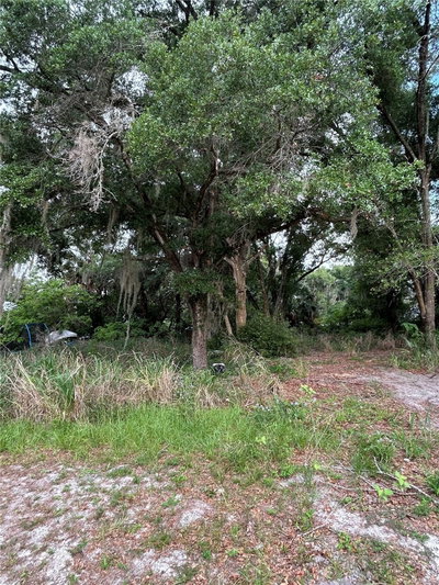 508 PALMETTO Street, Eustis, FL, 32726 — photo 2