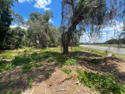 COUNTY ROAD 42, Umatilla, FL, 32784 — photo 2