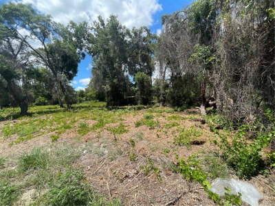 COUNTY ROAD 42, Umatilla, FL, 32784 — photo 2