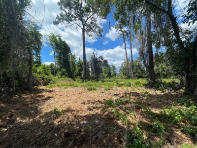 COUNTY ROAD 42, Umatilla, FL, 32784 — photo 2