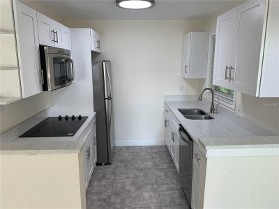 17202 SANDALWOOD Drive, Wildwood, FL, 34785 — photo 2