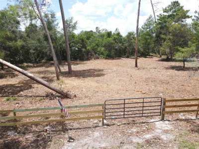 PINE Street, Paisley, FL, 32767 — photo 2