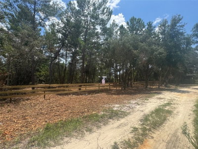 PINE Street, Paisley, FL, 32767 — photo 2