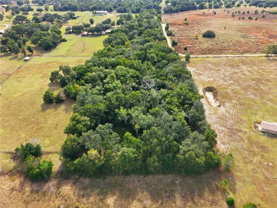 CURLE Road, Eustis, FL, 32736 — photo 2