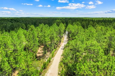 WATER Road, Clermont, FL, 34711 — photo 2