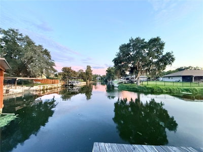 209 DELAWARE Street, Tavares, FL, 32778 — photo 2