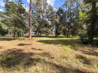 BONSMARA Drive, Groveland, FL, 34736 — photo 2
