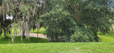 3316 FISH HAWK DR, Polk City, FL, 33868 — photo 2