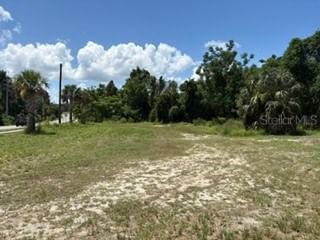 801 DIXIE Avenue, Fruitland Park, FL, 34731 — photo 2