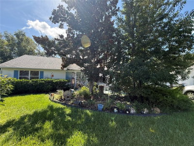 1117 BEN HOPE Drive, Leesburg, FL, 34788 — photo 2