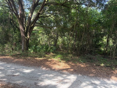 0000 CR 738, Webster, FL, 33597 — photo 2