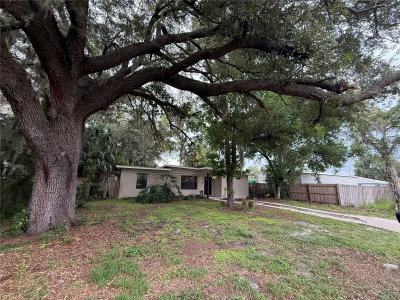 1435 TRIANGLE Drive, Mount Dora, FL, 32757 — photo 2