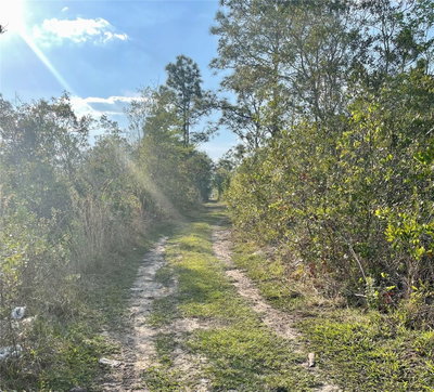 CONCORD Road, St Cloud, FL, 34773 — photo 2