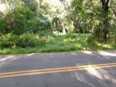 ST CLAIR Street, Wildwood, FL, 34785 — photo 2
