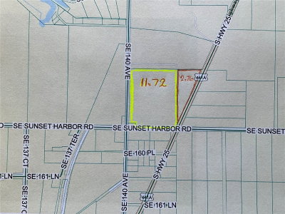 SUNSET HARBOR RD, Weirsdale, FL, 32195 — photo 2