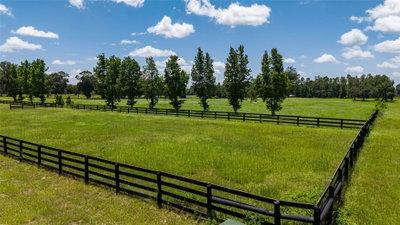 SE 159TH LN., Summerfield, FL, 34491 — photo 2