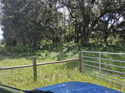 409 COUNTY ROAD 542E, Bushnell, FL, 33513 — photo 2