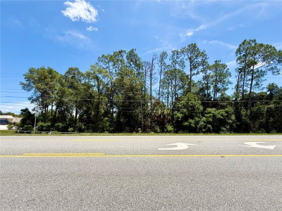 LOT 13 STATE ROAD 44, Eustis, FL, 32726 — photo 2