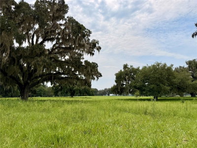 C-478, Webster, FL, 33597 — photo 2