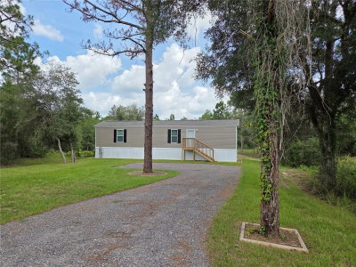9448 ROUSSEAU Street, Webster, FL, 33597 — photo 2