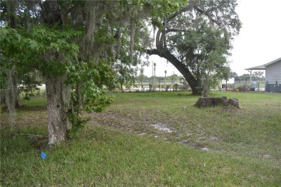 LOT 60 BLK C LEXINGTON Circle, Wildwood, FL, 34785 — photo 2