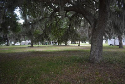 LOT 22 BLK D STRATFORD Court, Wildwood, FL, 34785 — photo 2
