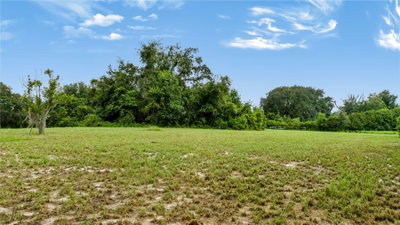 TROTTING HORSE Lane, Tavares, FL, 32778 — photo 2
