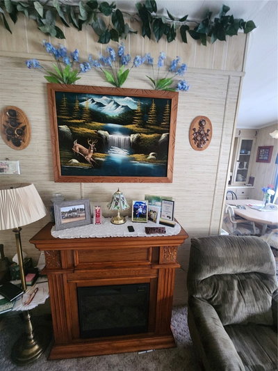 569 CR 486, Lake Panasoffkee, FL, 33538 — photo 2