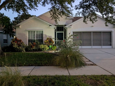 10507 WALKER VISTA Drive, Riverview, FL, 33578 — photo 2