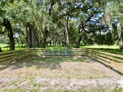 00 C-478 W, Webster, FL, 33597 — photo 2