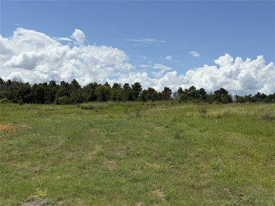 16813 BOLSENA Drive, Montverde, FL, 34756 — photo 2