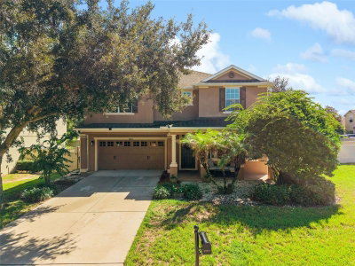 30412 TOKARA Terrace, Mount Dora, FL, 32757 — photo 2