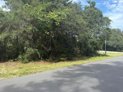 1721 COLFAX Lane, Hernando, FL, 34442 — photo 2