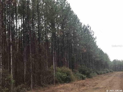 0000000 Circle Block Loop, Greenville, FL, 32357 — photo 2
